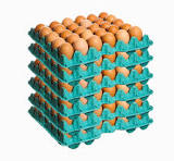 HUEVOS COSTEÑOS JAVA 30 UND